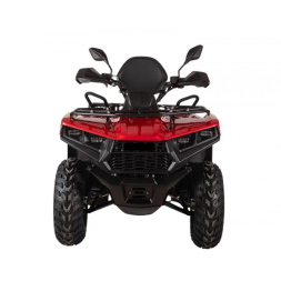 Квадроцикл Bizon YK250 Lux EFI, фото 5