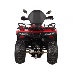 Квадроцикл Bizon YK250 Lux EFI, фото 3