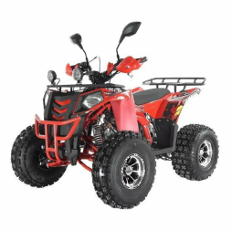 Квадроцикл WELS ATV Thunder EVO X, фото 4 Квадроцикл WELS ATV Thunder EVO X, фото 4