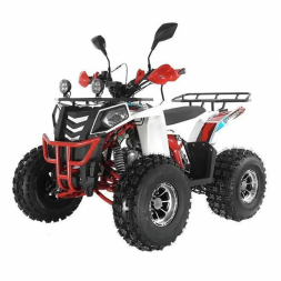 Квадроцикл WELS ATV Thunder EVO X, фото 2 Квадроцикл WELS ATV Thunder EVO X, фото 2