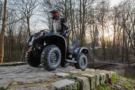 Квадроцикл BALTMOTORS Striker 500 EFI, фото 18