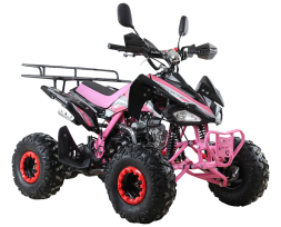 Квадроцикл MOTAX ATV T-Rex Super LUX 125 cc, фото 4