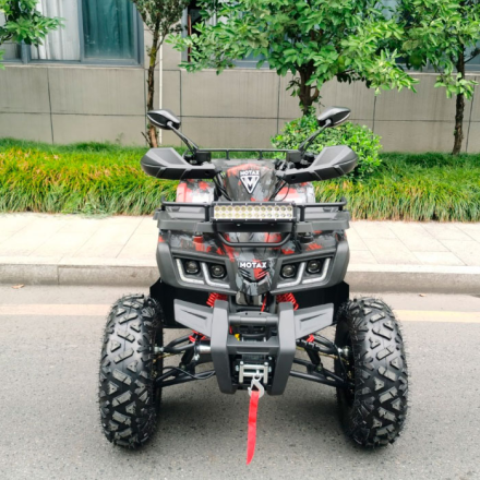 Квадроцикл Motax ATV Grizlik T 200 LUX, фото 3