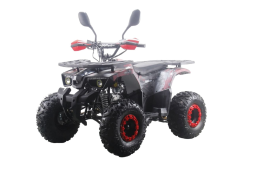 Квадроцикл MOTAX ATV Grizlik Premium 125cc, фото 18 Квадроцикл MOTAX ATV Grizlik Premium 125cc, фото 18