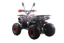 Квадроцикл MOTAX ATV Grizlik Premium 125cc, фото 15 Квадроцикл MOTAX ATV Grizlik Premium 125cc, фото 15