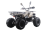 Квадроцикл MOTAX ATV Grizlik Premium 125cc
