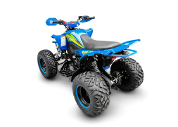 Квадроцикл RACER Typhoon 250, фото 4
