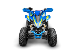 Квадроцикл RACER Typhoon 250, фото 2