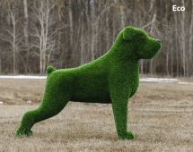 Топиари собака Баскервиль - газон Eco Топиари собака Баскервиль - газон Eco