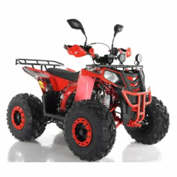 Квадроцикл WELS EVO ST, фото 4 Квадроцикл WELS EVO ST, фото 4