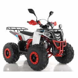 Квадроцикл WELS EVO ST, фото 2 Квадроцикл WELS EVO ST, фото 2