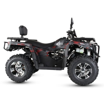 Квадроцикл MOTAX Grizlik 300 cc, фото 7