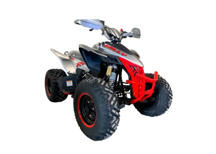 Квадроцикл MOTOLAND RALLY 250, фото 3