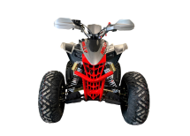 Квадроцикл MOTOLAND RALLY 250