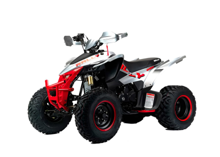 Квадроцикл MOTOLAND RALLY 250, фото 1