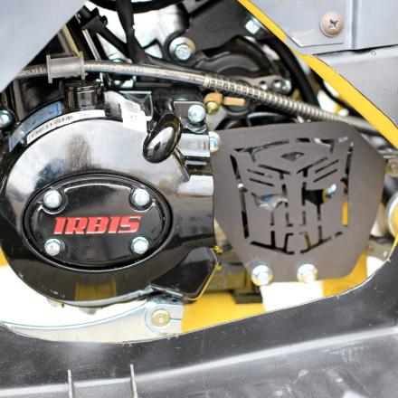 Квадроцикл IRBIS ATV 125, фото 5