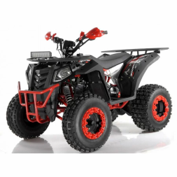 Квадроцикл WELS EVO X2, фото 4 Квадроцикл WELS EVO X2, фото 4