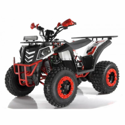 Квадроцикл WELS EVO X2, фото 2 Квадроцикл WELS EVO X2, фото 2