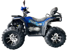 Квадроцикл MOTOLAND 300 Wild Track LUX