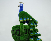 Топиари композиция Павлин на вазоне греческом - газон Eco