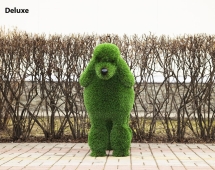 Топиари собака Пудель - газон Premium Топиари собака Пудель - газон Premium