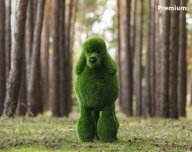 Топиари собака Пудель - газон Premium Топиари собака Пудель - газон Premium