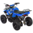Квадроцикл MOTAX ATV Mini Grizlik X-16