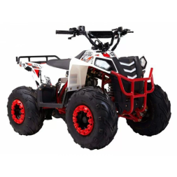 Квадроцикл детский WELS EVO.M, фото 3 Квадроцикл детский WELS EVO.M, фото 3