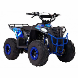 Квадроцикл детский WELS EVO.M, фото 2 Квадроцикл детский WELS EVO.M, фото 2