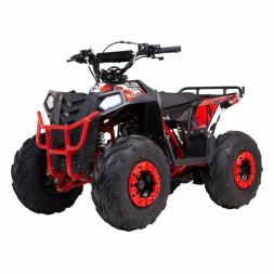 Квадроцикл детский WELS EVO.M, фото 1 Квадроцикл детский WELS EVO.M, фото 1