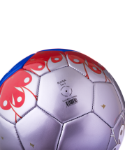 Мяч футбольный Russia №5