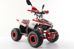 Квадроцикл MOTAX ATV Mikro 110cc, фото 3
