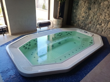 Переливной встраиваемый коммерческий Спа-Бассейн JNJ SPAS Maxima Built In, фото 2