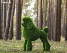 Топиари собака Пудель - газон Deluxe/Deluxe Green Топиари собака Пудель - газон Deluxe/Deluxe Green