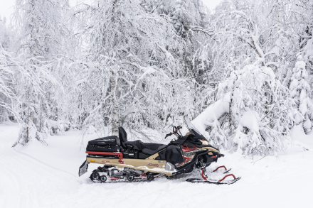 Снегоход AODES Snowcross 1000 WT, фото 13