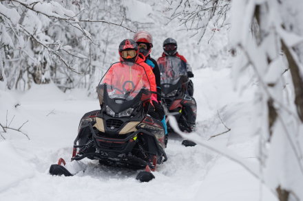 Снегоход AODES Snowcross 1000 WT, фото 12