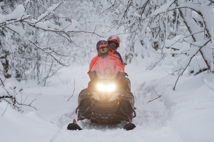 Снегоход AODES Snowcross 1000 WT, фото 11