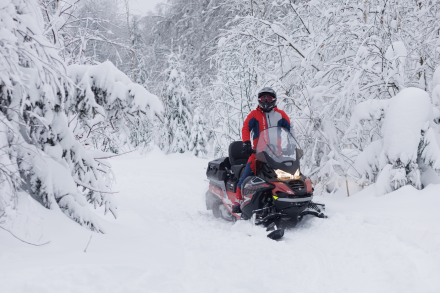 Снегоход AODES Snowcross 1000 WT, фото 10