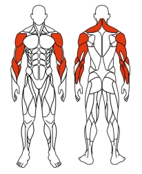 Рули (положение стоя) серый - Уличный тренажер - СТ 101-13, фото 6 Рули (положение стоя) серый - Уличный тренажер - СТ 101-13, фото 6