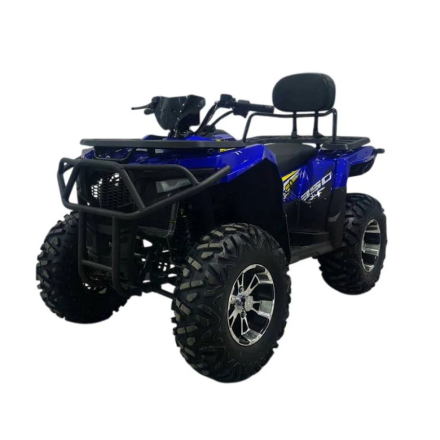 Квадроцикл Bizon ZX350, фото 7