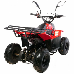 Квадроцикл MOTAX MIKRO 110 cc, фото 6