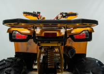 Квадроцикл MOTOLAND 125 Wild (2021 Г.)