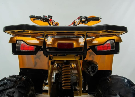 Квадроцикл MOTOLAND 125 Wild (2021 Г.), фото 3