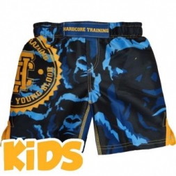Шорты Hardcore Training hctshorts038