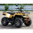 Квадроцикл IRBIS ATV 200