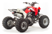 Квадроцикл MOTOLAND 125S (2020 Г.)