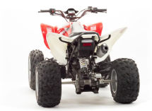 Квадроцикл MOTOLAND 125S (2020 Г.)