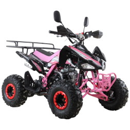 Квадроцикл бензиновый MOTAX ATV T-Rex Super LUX 125 cc, фото 7