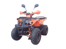 Квадроцикл ATV Termit Libre