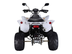 Квадроцикл RATO RТ250SТ-2, фото 3